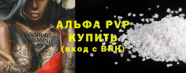 стаф Абинск