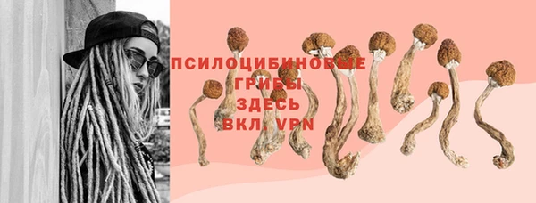 бошки Алексеевка