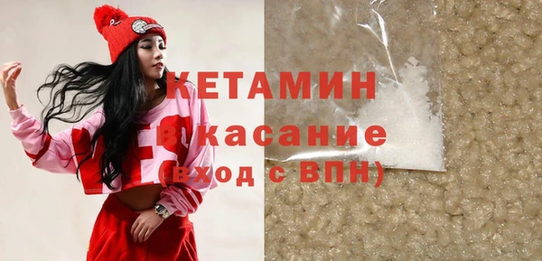 стаф Алзамай