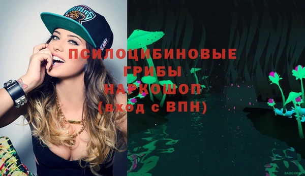 стаф Алзамай