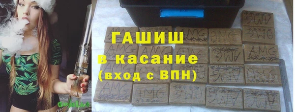 стаф Алзамай