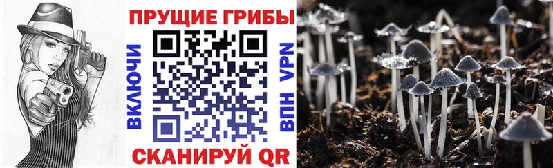 Псилоцибиновые грибы мицелий  hydra сайт  Октябрьский  где продают  