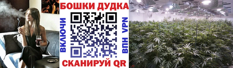 Шишки марихуана конопля  купить  цена  Октябрьский 